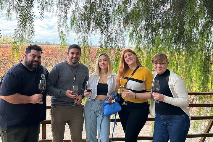 Vineyards Tour in Mendoza: Wine & Olive Oil Tasting Experience