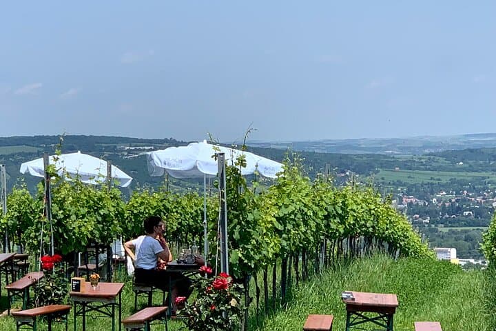 Private Viennese Nußberg Walking Tour with Wine Tasting