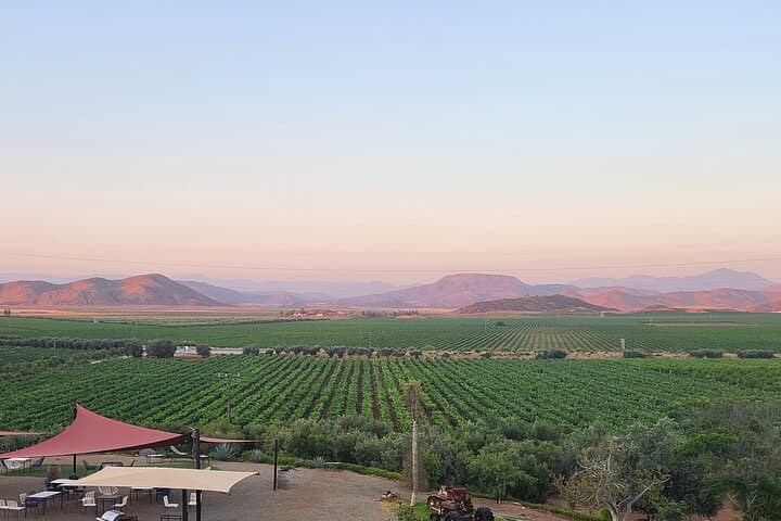 Private Valle Wine Experience: All Wine Tastings Included