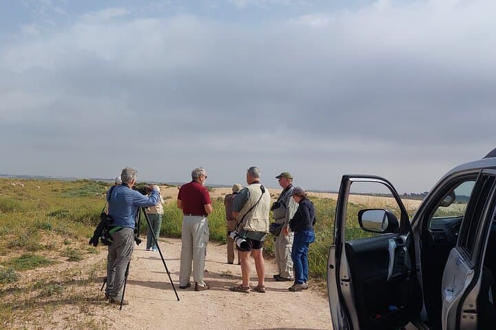 National Park Souss Massa Day Trip
