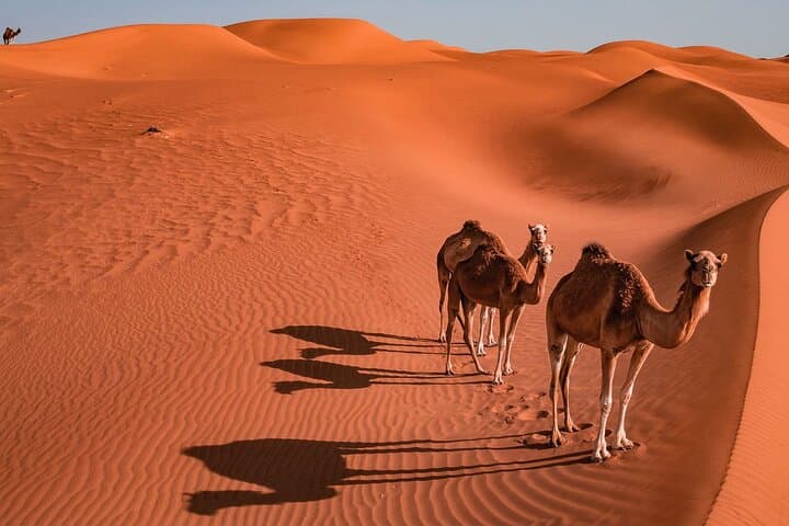 2 Days and 1 Night Private Wahiba Sands Desert with Wadi