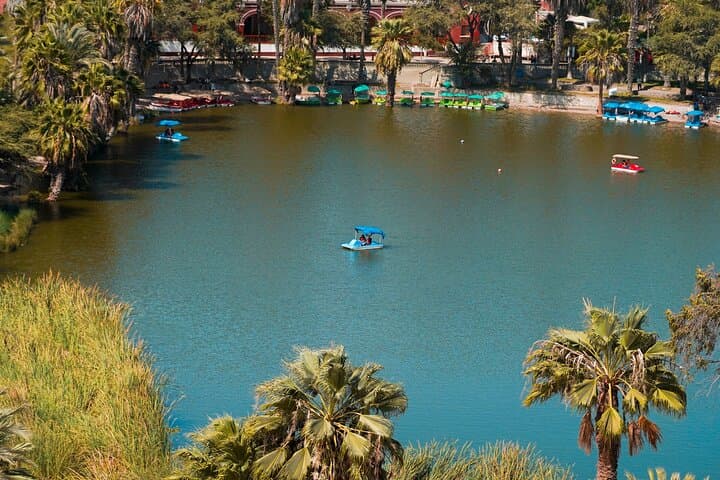 Sunset in Huacachina and Tacama: Private Tour from Lima