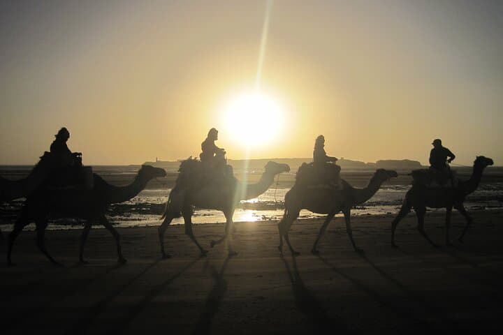 1 Hour Dromedary Ride near Essaouira, Morocco