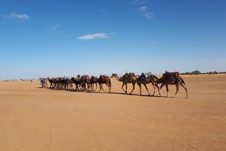 3 Days Tour From Marrakech to Sahara Desert