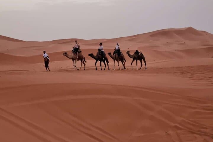 1 Night Experience Camel Trekking Merzouga