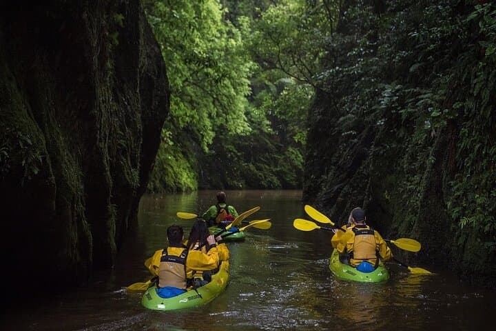 Twilight Kayak Glowworm Tour with Stargazing