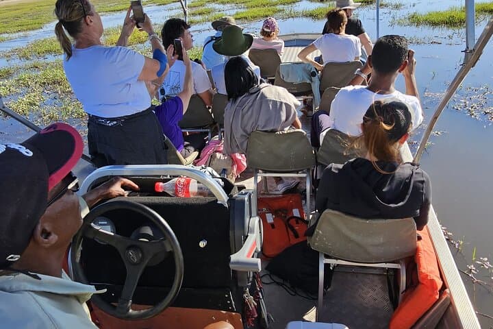 Chobe Day Trip
