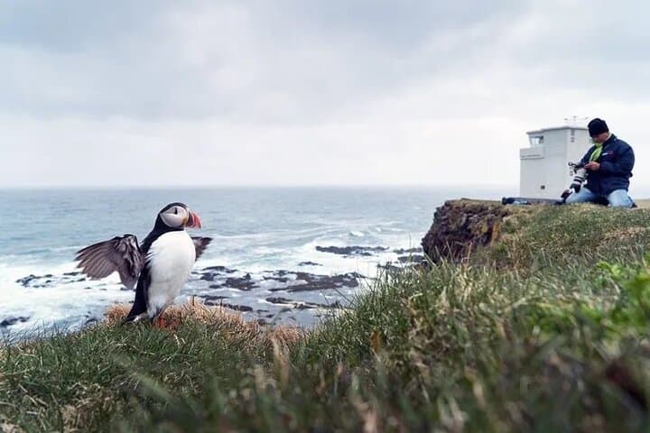 8-Days Westfjords of Iceland