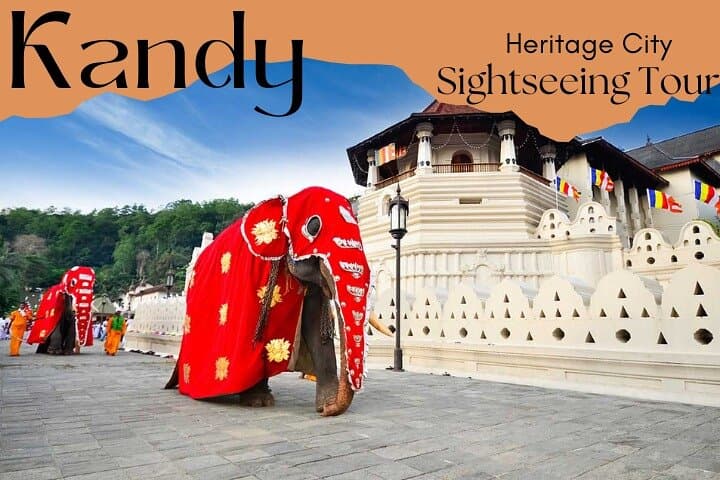 Heritage City Kandy Sightseeing Tour From Colombo|Negombo|Kandy