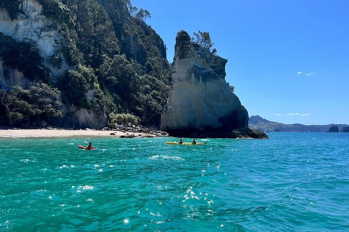 2 Days Private Tour in Coromandel Peninsula from Hamilton