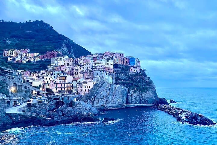 Accessible and Hassle-Free Cinque Terre Private tour from Pisa