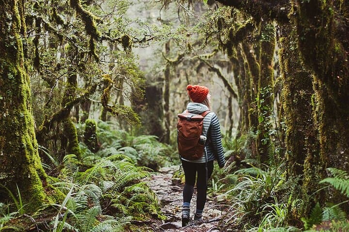 Lake Marian Guided Hike with Transfers, Lunch & Morning Tea