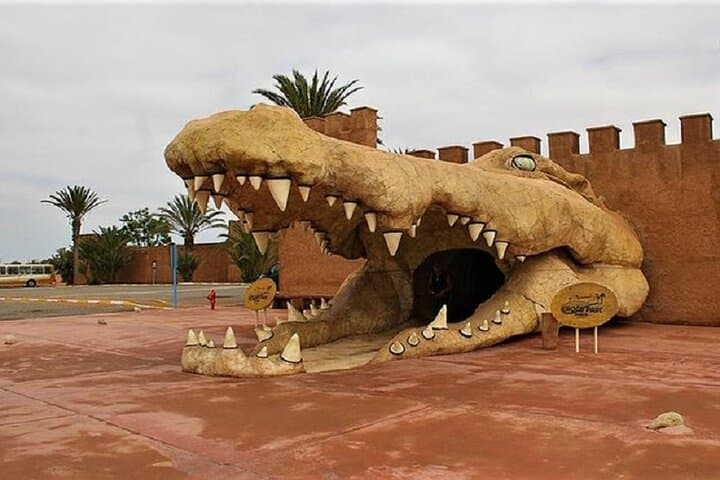 Croco Park Safari Adventure with Convenient Transfers – Agadir