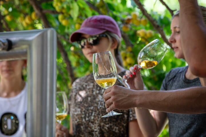 The Best MVD: 2 Wineries visits & lunch, private