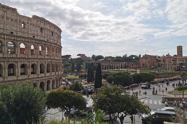 ROME:Colosseum, forum & palatin hill guided tour - private/group