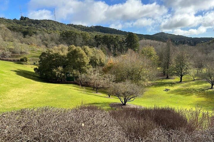 Hahndorf and Hills Wildlife Wonders