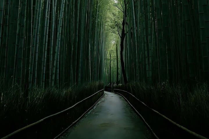 Kyoto&Nara&Osaka: One day private Customized Car tour