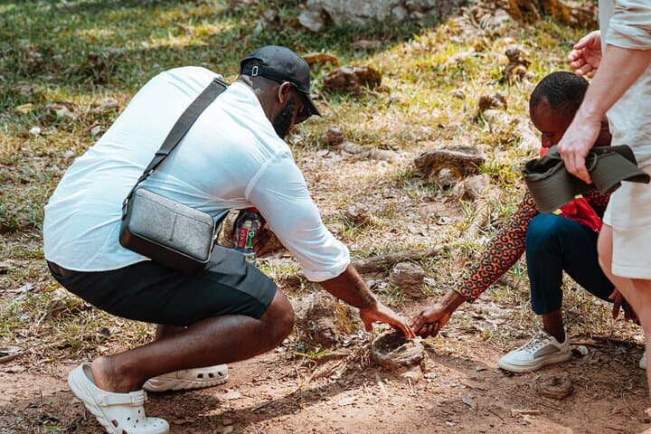 Explore Aburi Botanical Gardens And Boti Falls