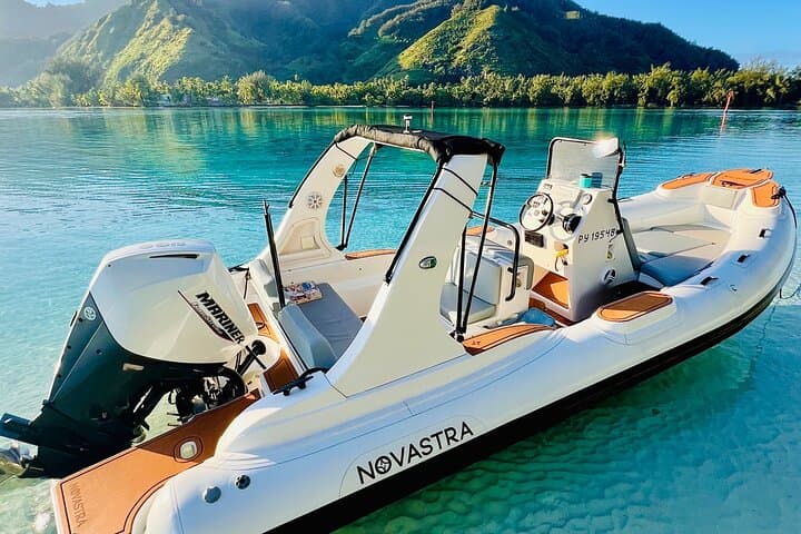 Moorea: Private 4-Hour High-End Boat Excursion