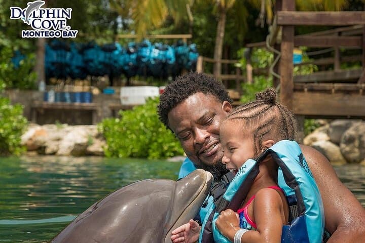 Day trips from Kingston