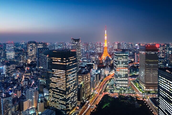Private Customizable Tokyo Tour (Train, Walking, Car on Request)