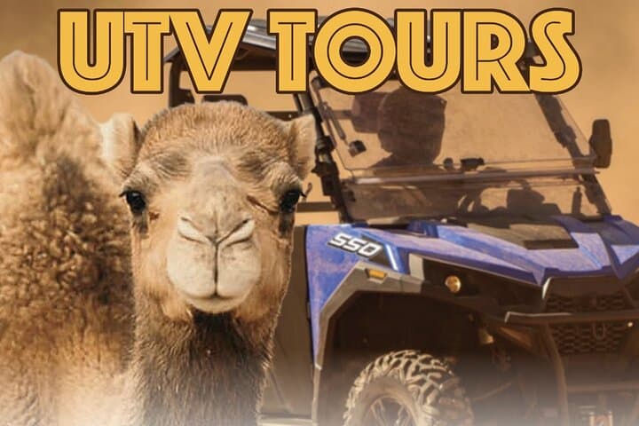 Las Vegas Guided UTV Safari and Zoo Tour