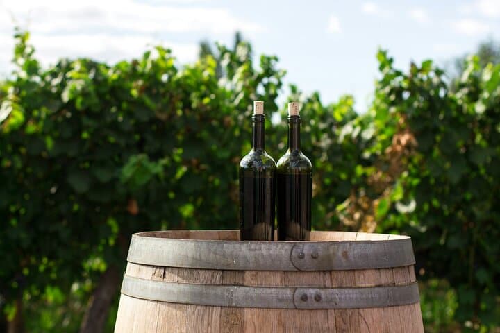 Prague Private Wine Tour