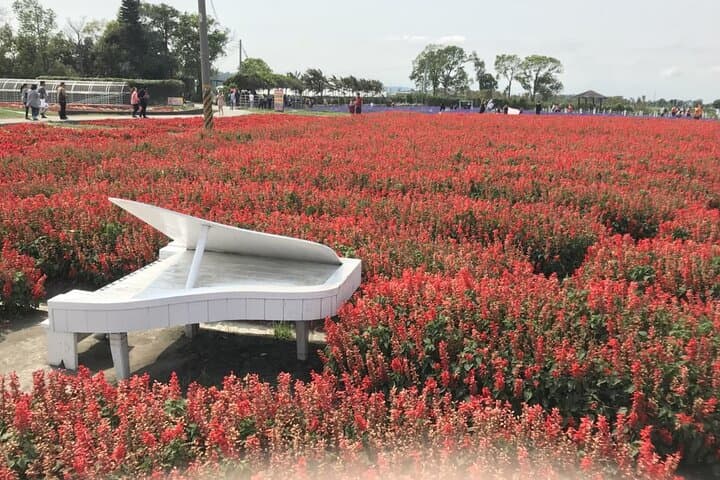 Private Taichung Instagram Day Tour from Taipei