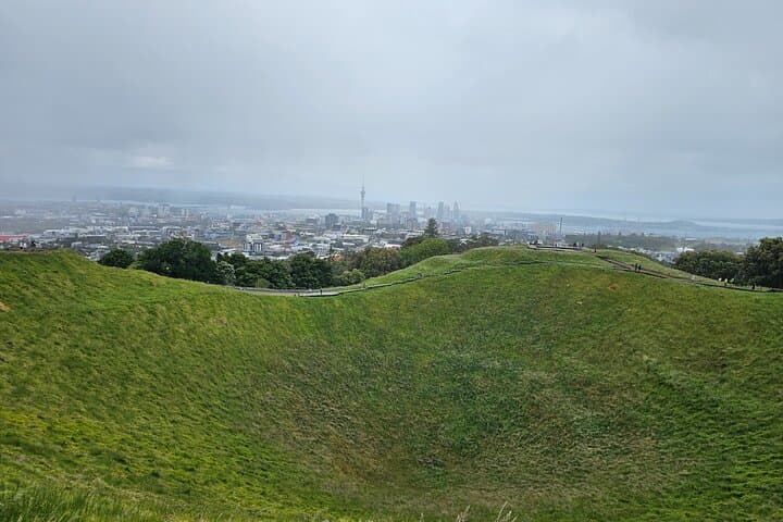 Auckland City Half Day Tour