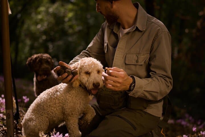Truffle Hunting, Lunch & Cooking Class in Rome's Countryside