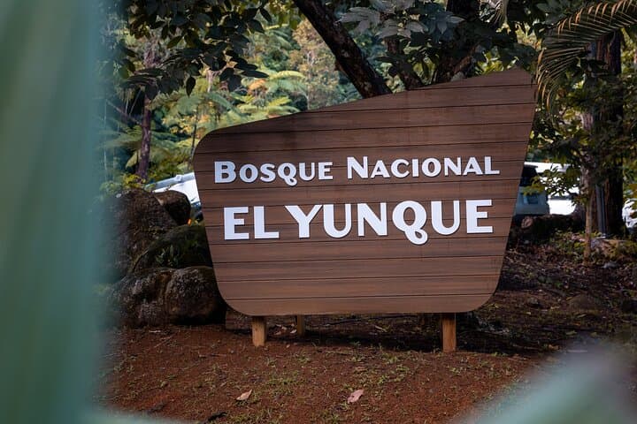 El Yunque Rainforest EZ-going Bus Tour (wheelchair accessible)