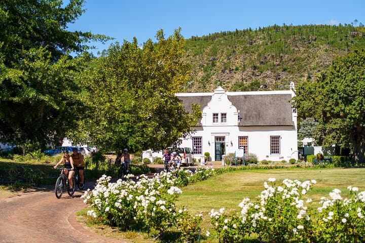 Franschhoek Half Day Winelands Cycle Tour