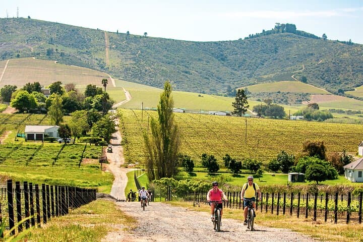 Stellenbosch Luxury Winelands EBike Tour ©