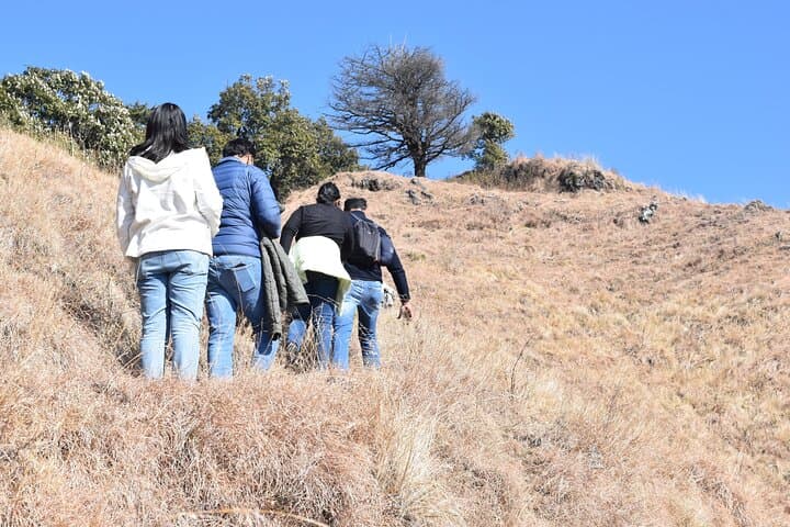 Benog Trek into the Wild