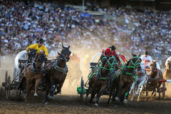 Calgary Stampede Evening Show