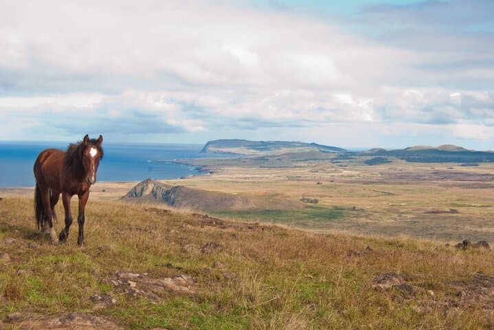 World's End: Private Easter Island hike to remote volcano Poike