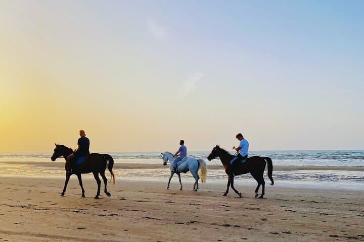 Horse riding on muscat beach