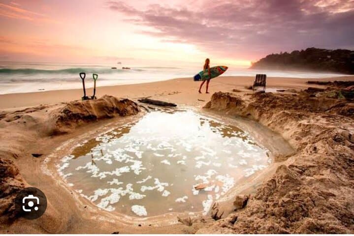 Coromandel Caves, Hot Water Beach&Driving Creek Railway(optional)