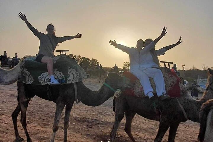 Agadir Camel Ride with Hotel Pickup & Mint Tea Experience