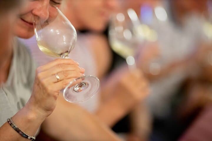 Visit and Private Tasting of EVO Oil and Organic Wine