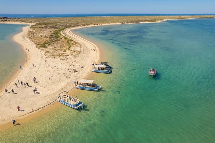 Ilha Deserta and Farol Island: a small group boat trip in Ria Formosa from Faro