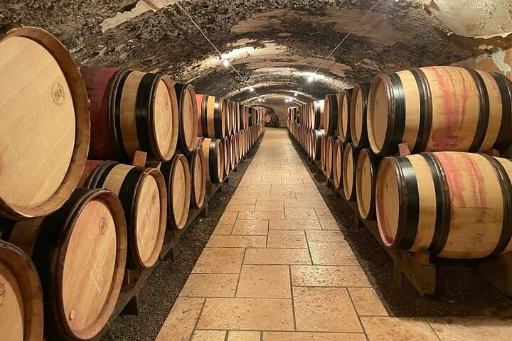 Wine tour - Domaine E.GUIGAL Wine cellar visit and tasting