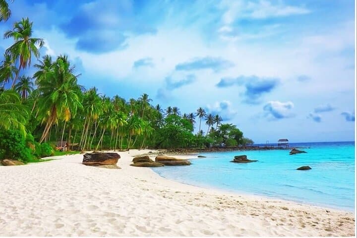 Phu Quoc Fullday Tour Cua Can river