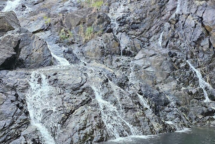 Chasing Waterfalls Experience in Tobago