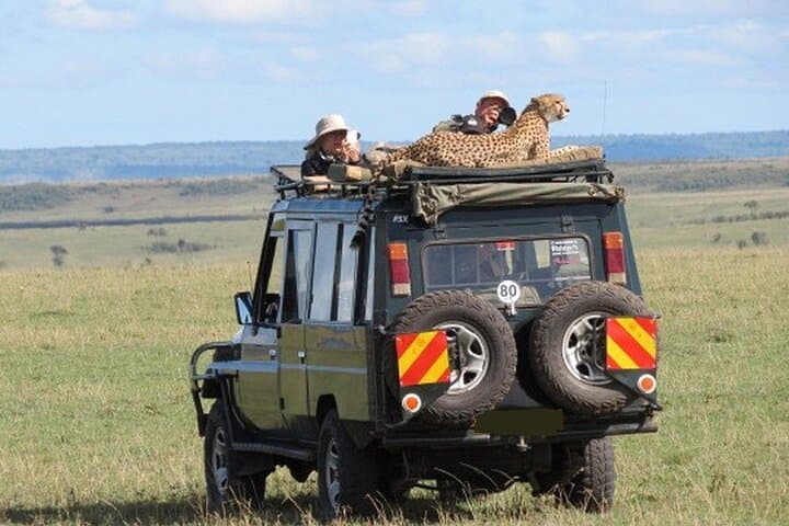 3 days Masai Mara Group shared Adventure on 4x4 Land Cruiser