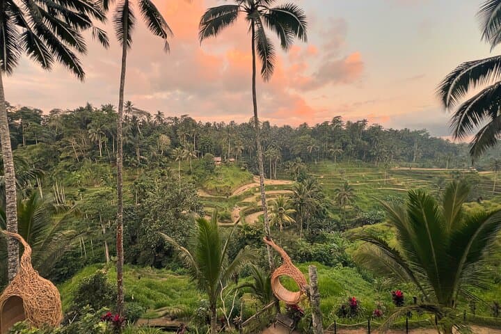 All Inclusive Ubud Tour