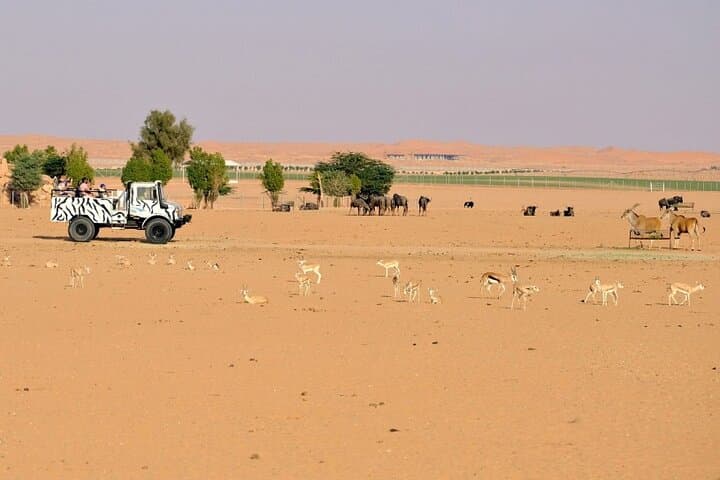 An Exciting Adventure on an Open Safari Vehicle at Nova Park