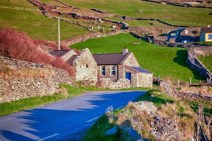 4-hour Private Dingle Peninsula Tour 1 to 3 people
