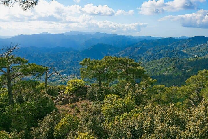 Scenic Troodos Mountains Tour with Wine Tasting from Paphos