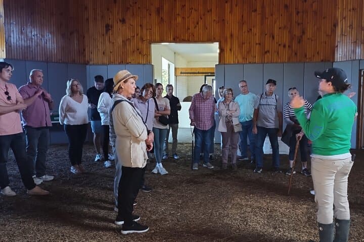 Half-Day Thoroughbred Horse Farm Tour in Kentucky